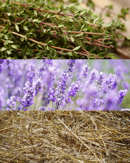 Lavender Fields Scented Handmade Candle