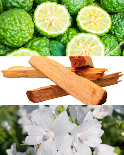 Sandalwood Bliss Scented Handmade Candle