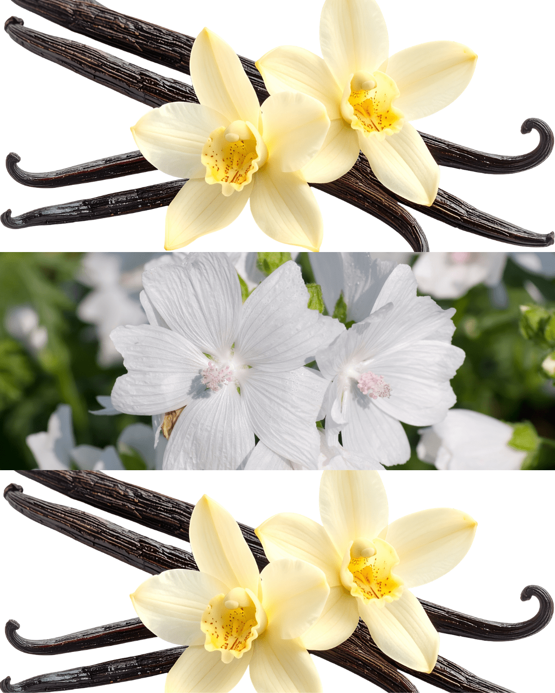 Vanilla Essence Scented Handmade Candle