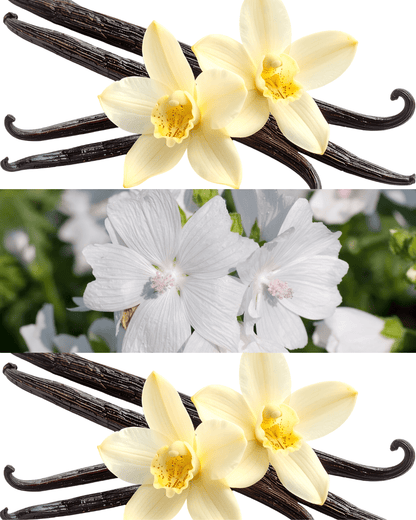Vanilla Essence Scented Handmade Candle