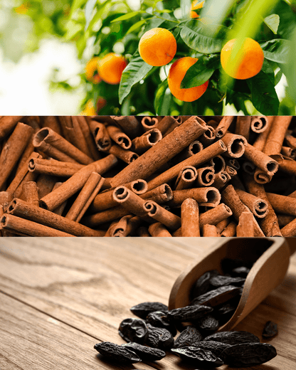 Handgemachte Duftkerze Zesty Spice